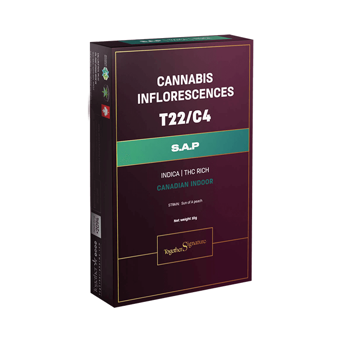  | קנאביס רפואי