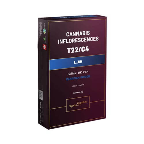 תפרחות טוגדר פארמה אל דאבליו T22/C4 סאטיבה