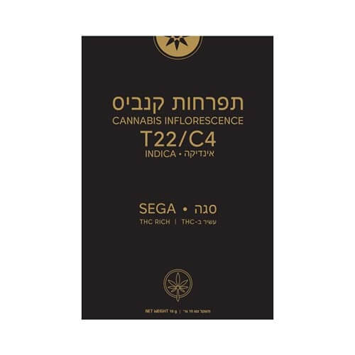 תפרחות תיקון עולם סגה T22/C4 אינדיקה