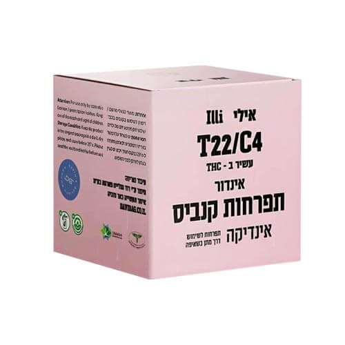 תפרחות דוד וגוליית אילי T22/C4 אינדיקה