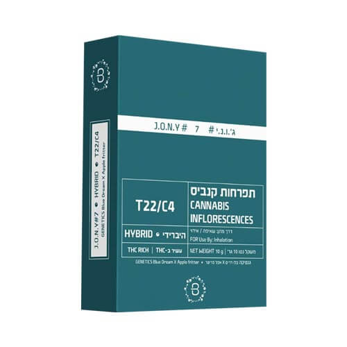 תפרחות Bubble ג'וני 7 T22/C4 היבריד