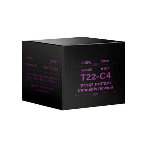 תפרחות דוד וגוליית פרפל T22/C4 אינדיקה