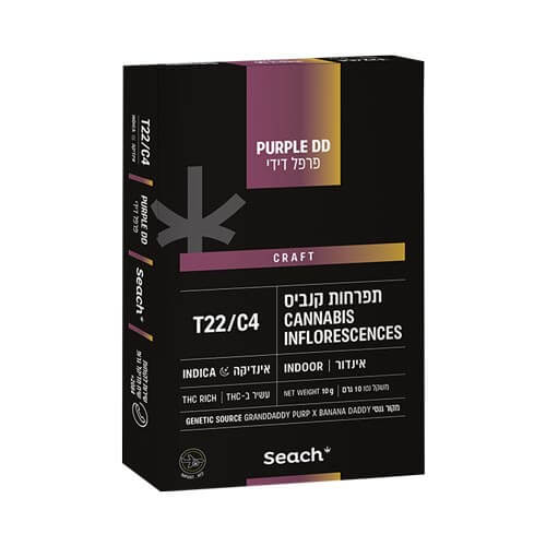 תפרחות שיח פרפל דידי T22/C4 אינדיקה