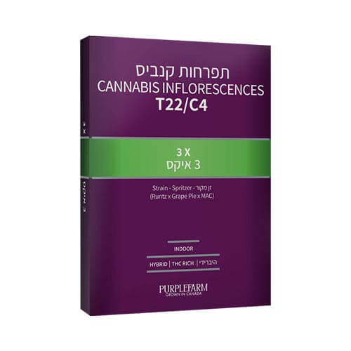 תפרחות קנדוק 3 איקס T22/C4 היבריד