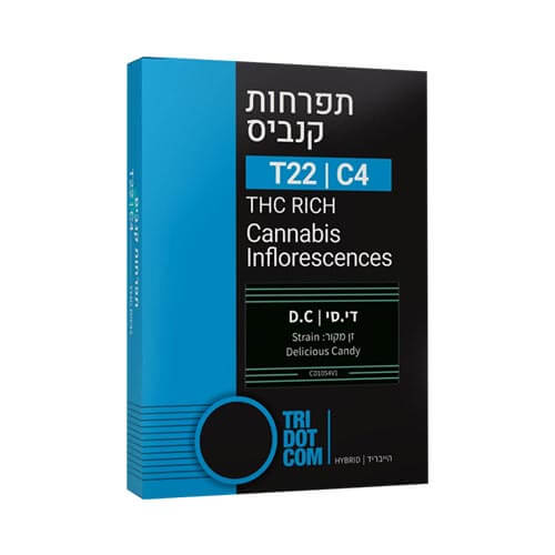 תפרחות קנדוק די סי T22/C4 היבריד