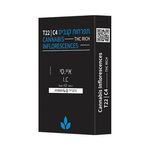 תפרחות קנדוק איי סי T22/C4 היבריד