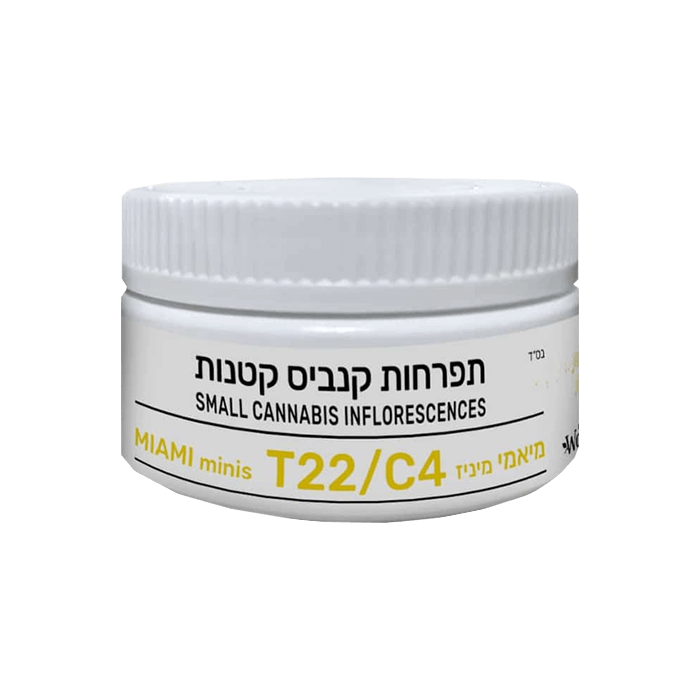  | קנאביס רפואי