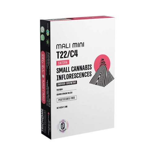 תפרחות סמול Trichome מאלי T22/C4 סאטיבה