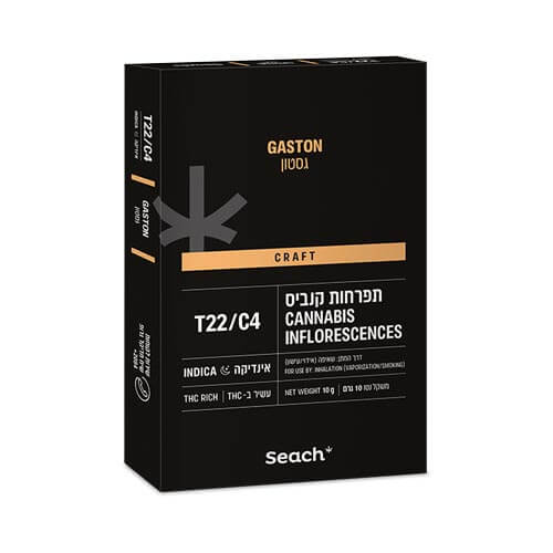 תפרחות שיח גסטון T22/C4 אינדיקה