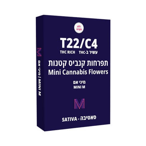 תפרחות סמול נובה קנאביס אם T22/C4 סאטיבה