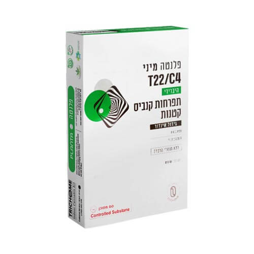 תפרחות סמול Trichome פלנטה T22/C4 היבריד